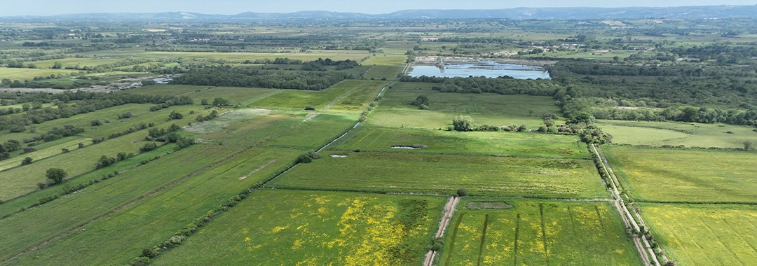 The Land For The Somerset Levels Moors Wetland