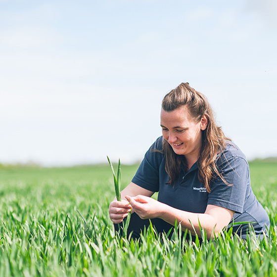 Wessex Water Catchment Team Member In A Field