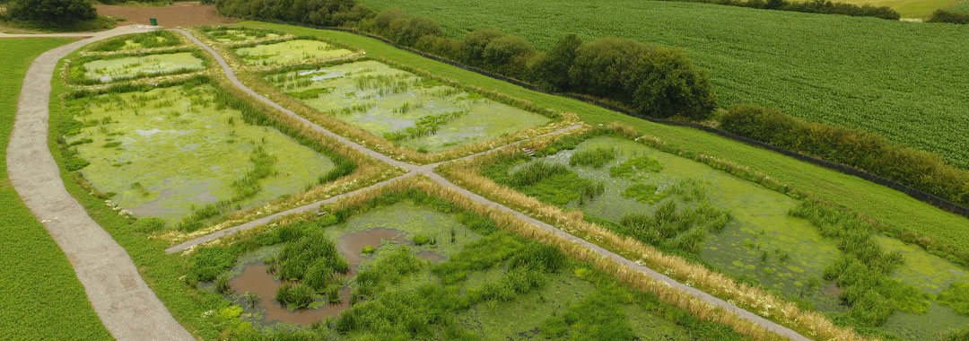Cromhall Wetlands