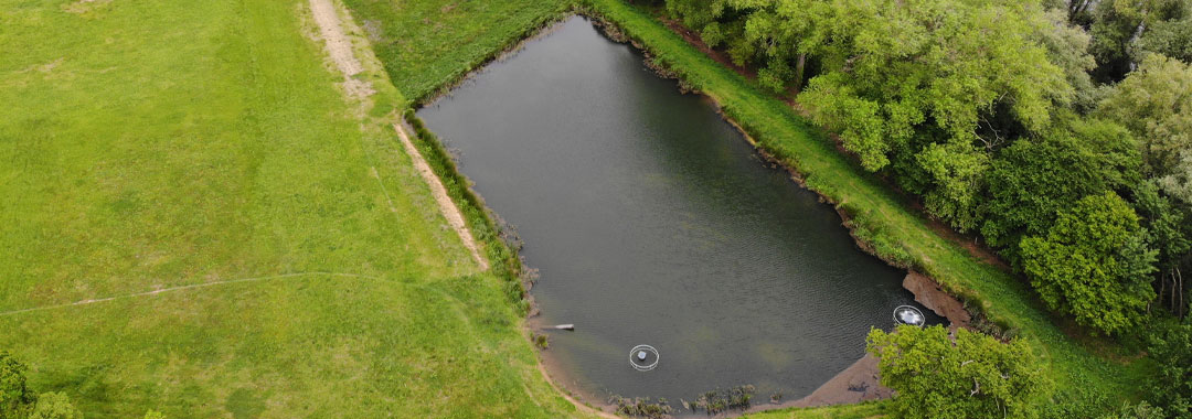 Durleigh wetlands