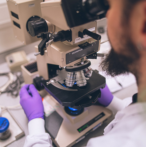 Scientist looking down a microscope at Saltford Lab